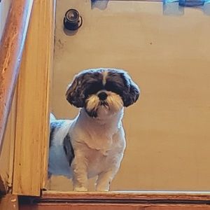 Meet your Posher, Eric